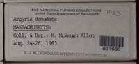 Image Associated With the Occurence